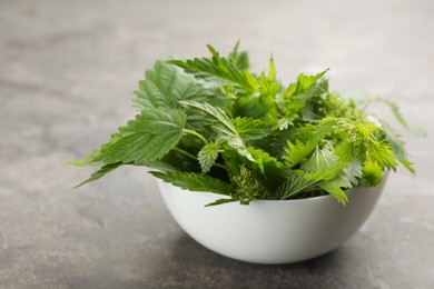Photo of Fresh stinging nettle leaves in bowl on grey table, closeup