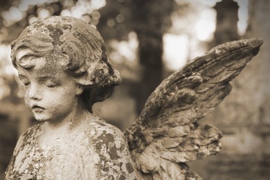 Image of Beautiful statue of angel at cemetery. Sepia tone