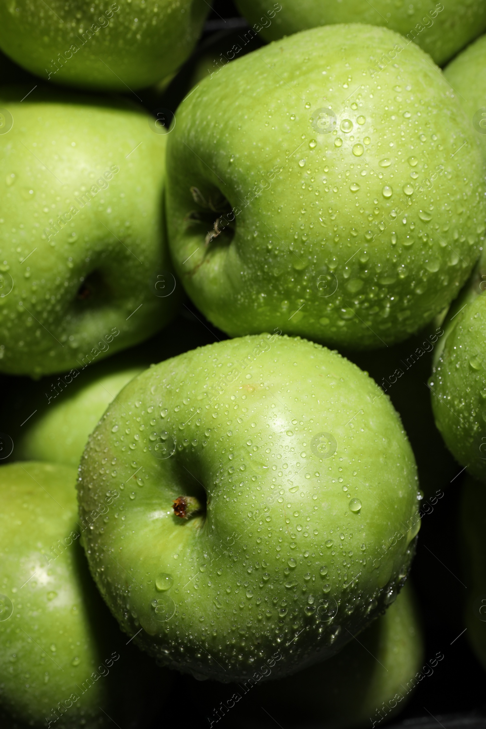 Photo of Fresh green apples with water drops as background, closeup