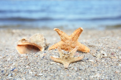 Photo of Beautiful starfishes and shell on sand near sea. Beach objects