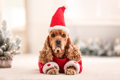 Photo of Adorable Cocker Spaniel in Christmas sweater and Santa hat on blurred background