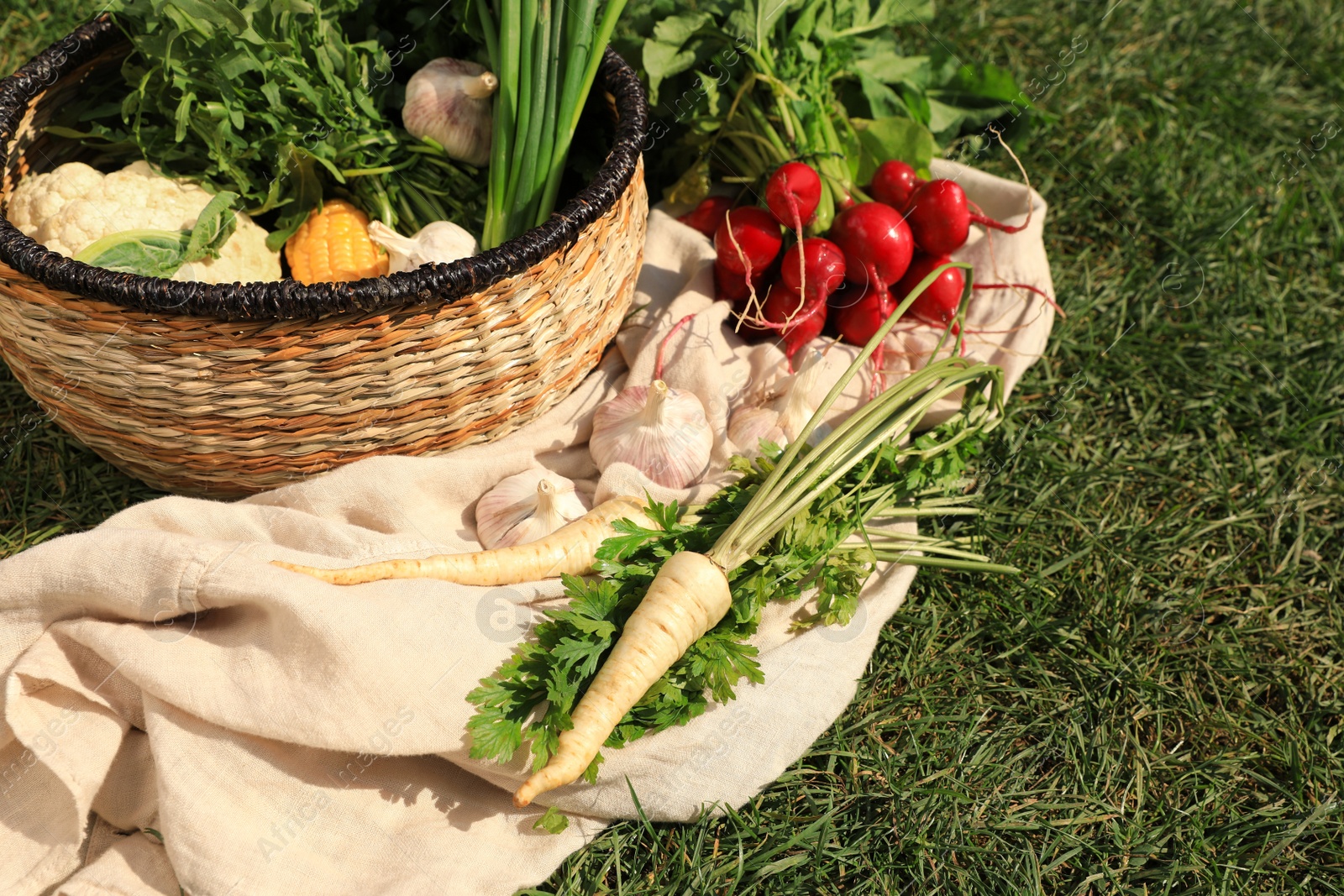 Photo of Different tasty vegetables and herbs on green grass outdoors