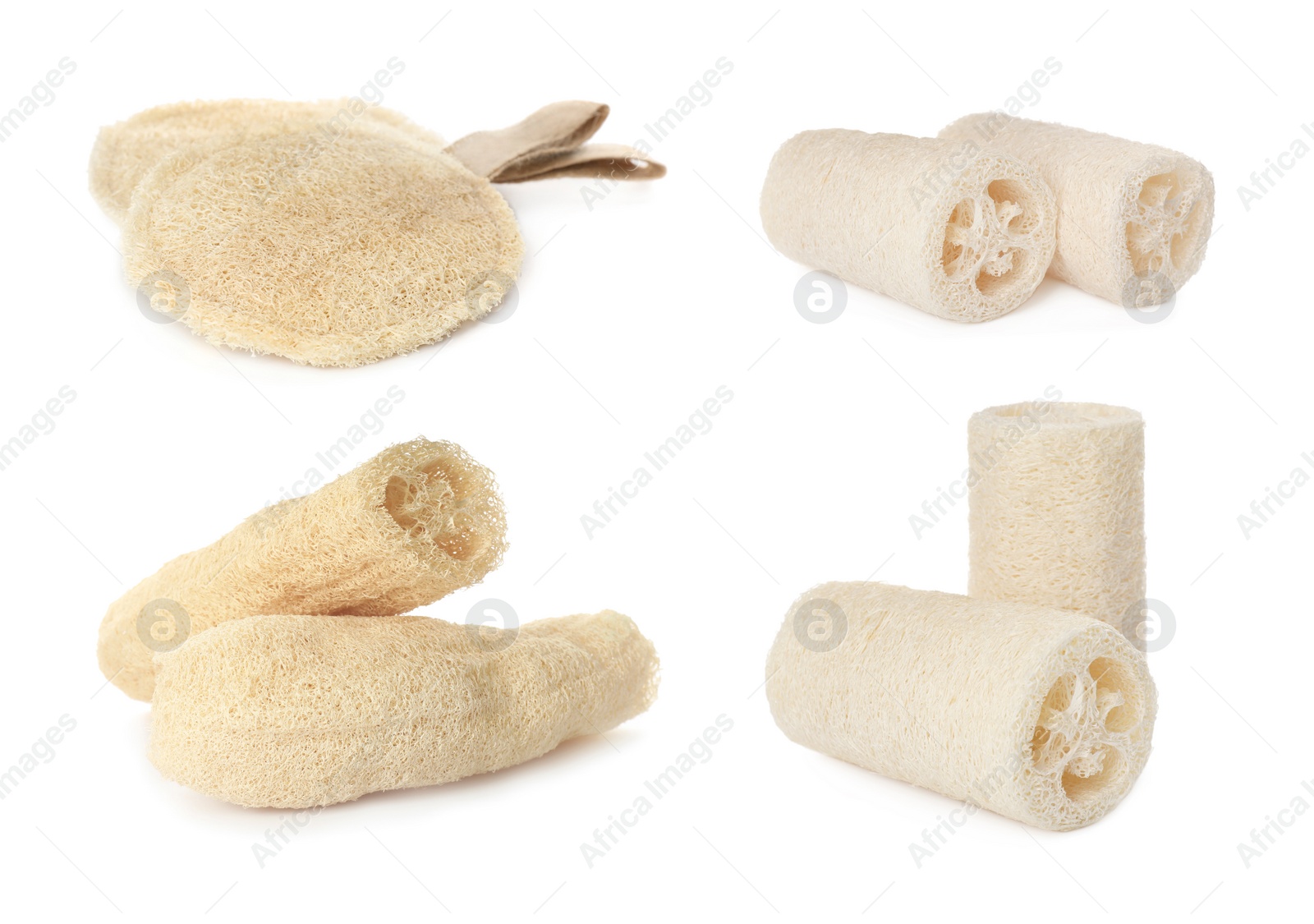 Image of Set with natural shower loofah sponges on white background