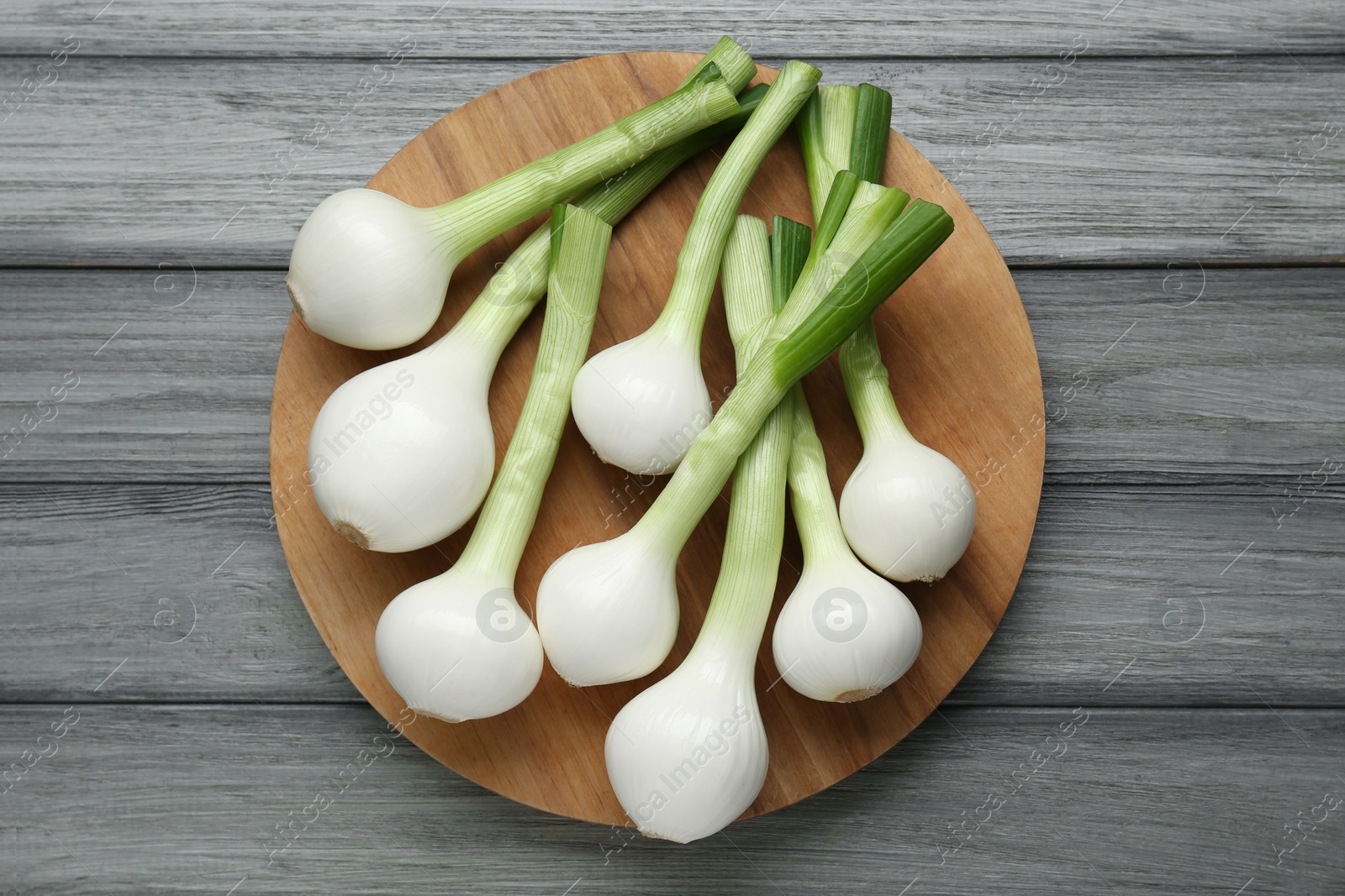 Photo of Tray with green spring onions on grey wooden table, top view