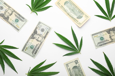 Photo of Green hemp leaves and money on white background, flat lay