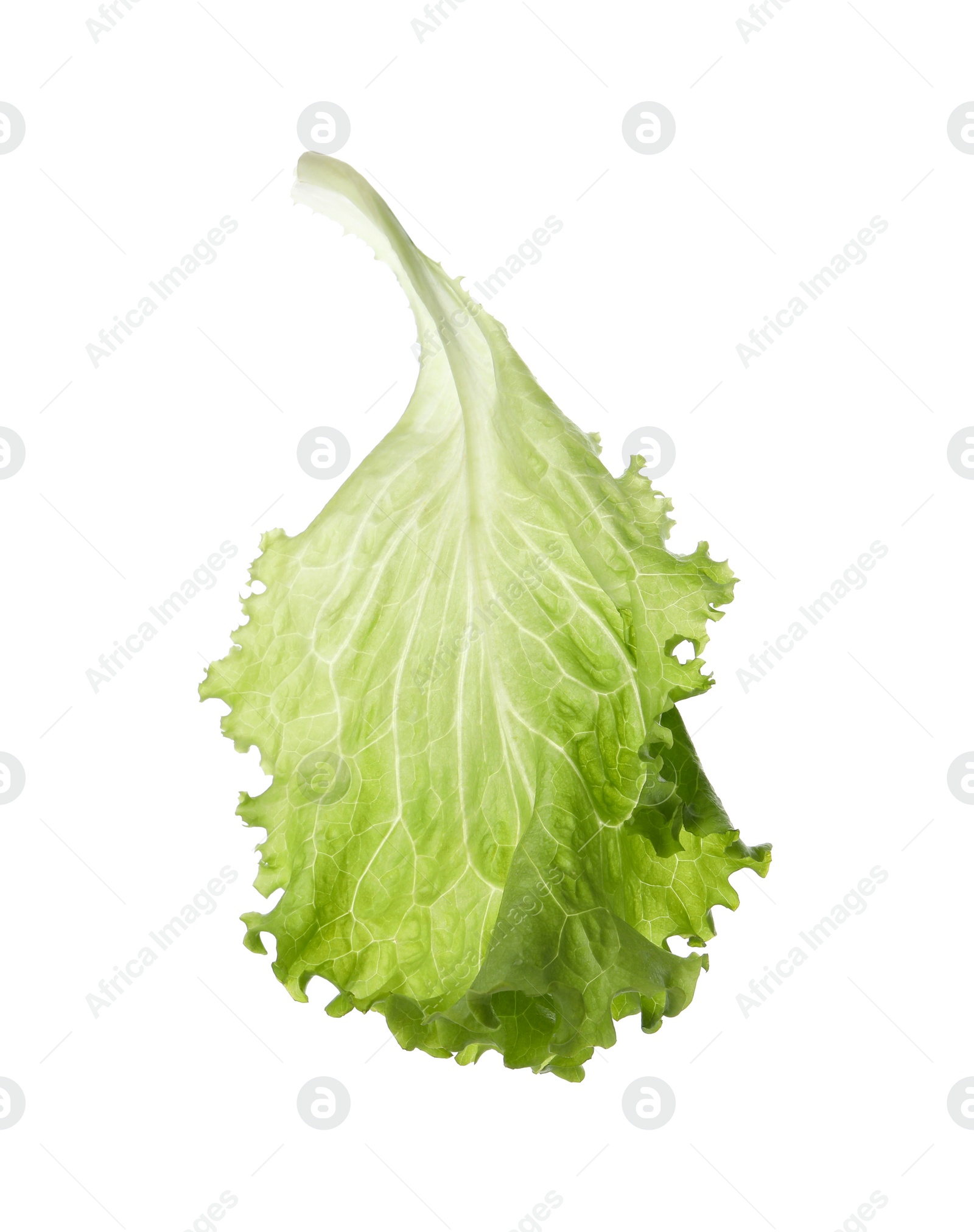 Photo of Leaf of fresh green lettuce isolated on white