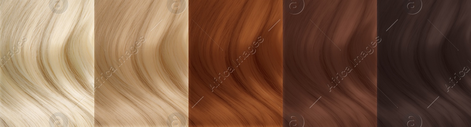 Image of Collage of color hair samples, closeup. Banner design