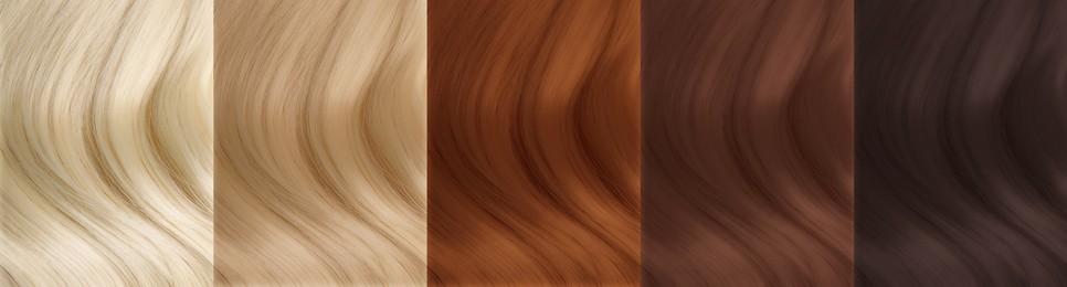 Collage of color hair samples, closeup. Banner design