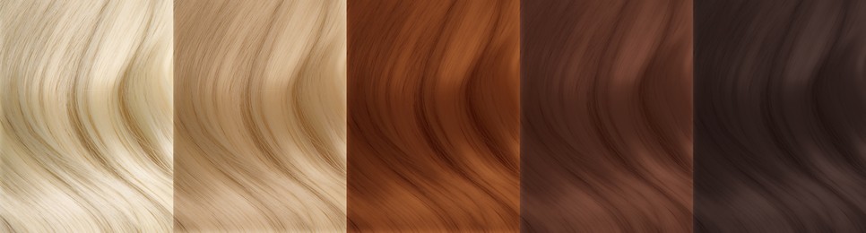 Image of Collage of color hair samples, closeup. Banner design