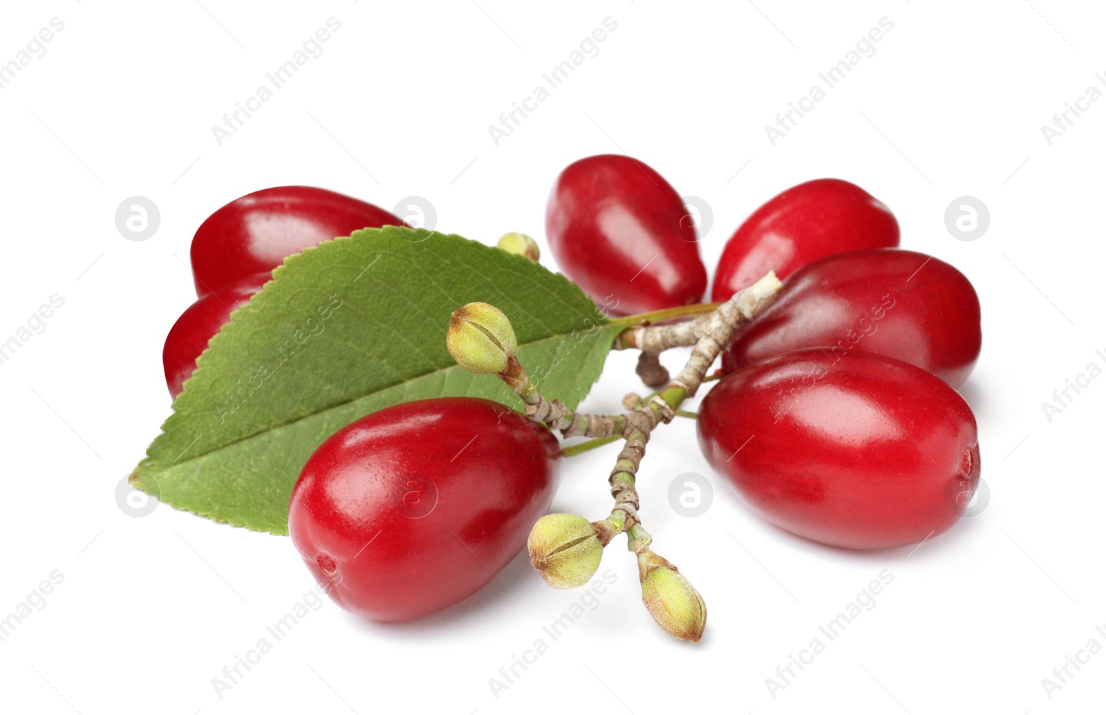 Photo of Fresh ripe dogwood berries with green leaf on white background