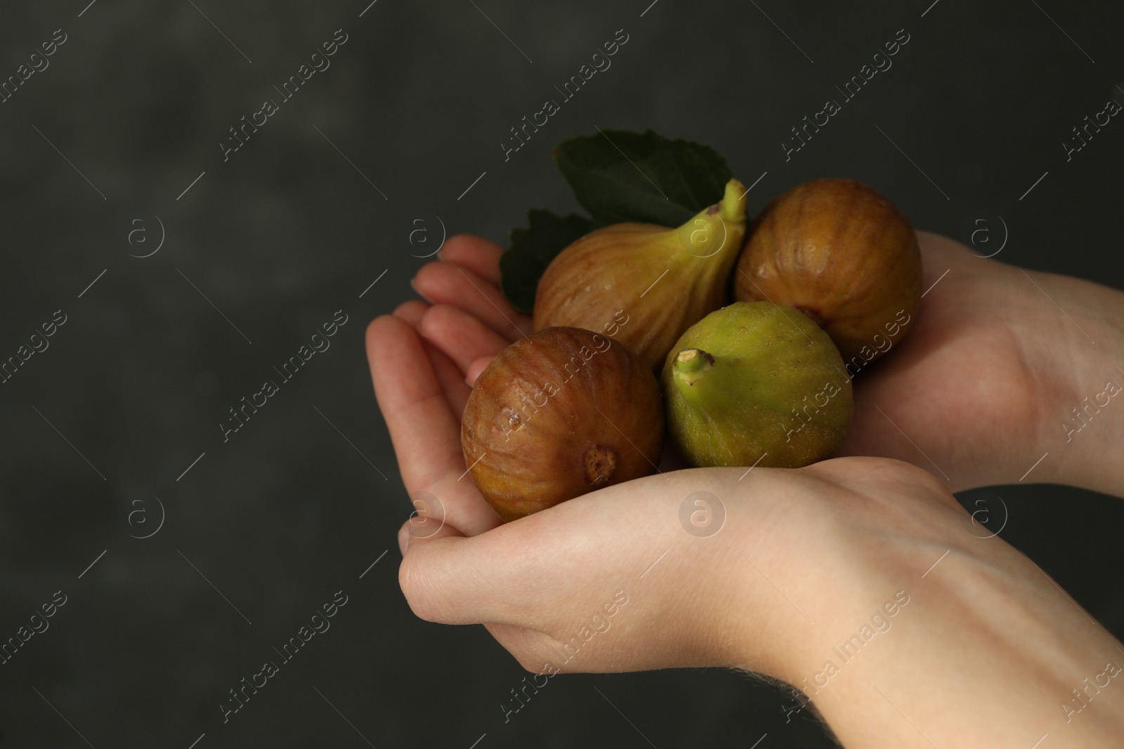 Photo of Woman holding tasty raw figs with leaf on grey background, closeup