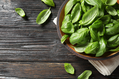 Photo of Fresh green basil on black wooden table, flat lay