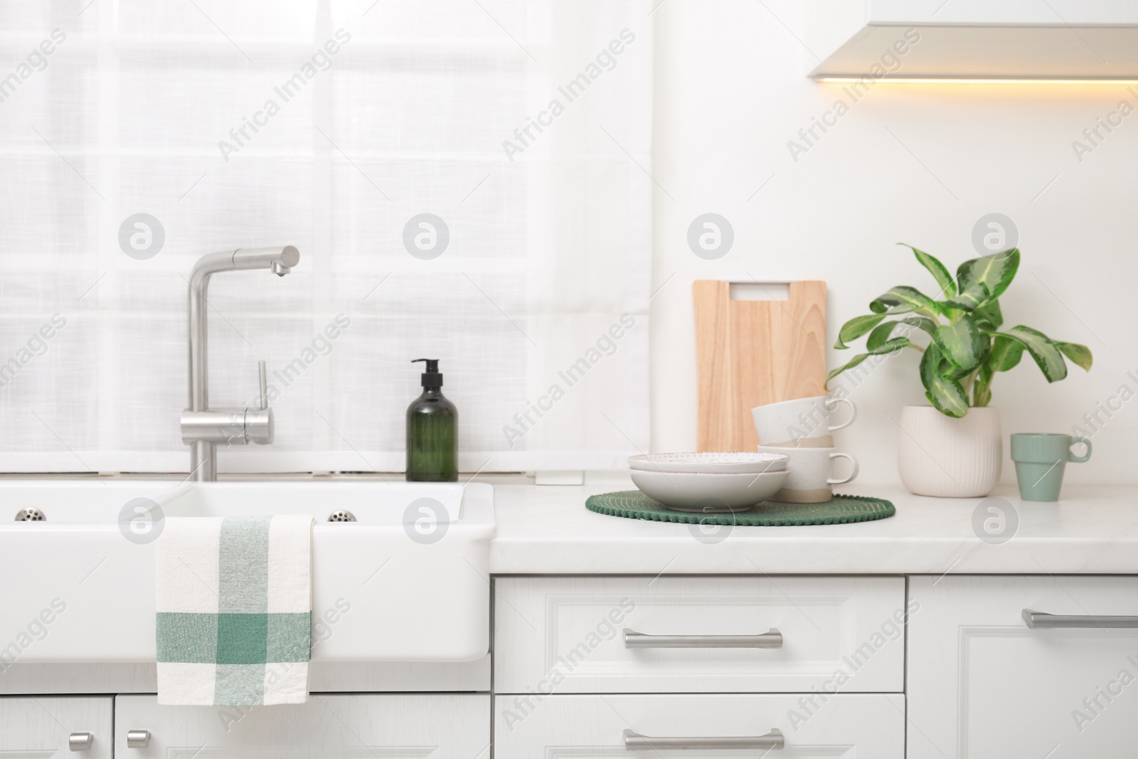 Photo of Kitchen counter with sink, houseplant and clean dishes