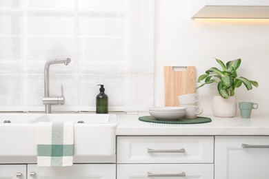 Kitchen counter with sink, houseplant and clean dishes