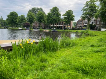 Beautiful view of city canal with pier and moored boat surrounded by greenery