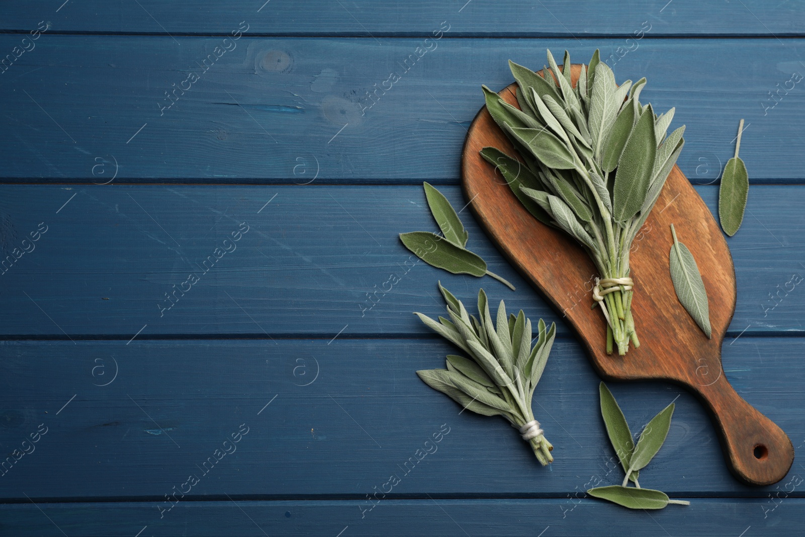 Photo of Board with fresh green sage on blue wooden table, flat lay. Space for text