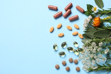 Different pills, herbs and flowers on light blue background, flat lay with space for text. Dietary supplements