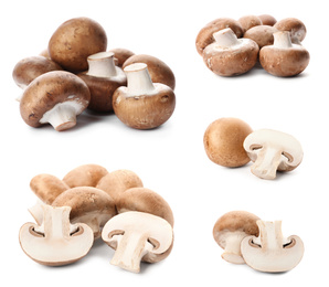  Set with fresh champignon mushrooms on white background