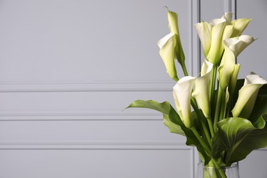 Beautiful calla lily flowers in vase on light background, space for text
