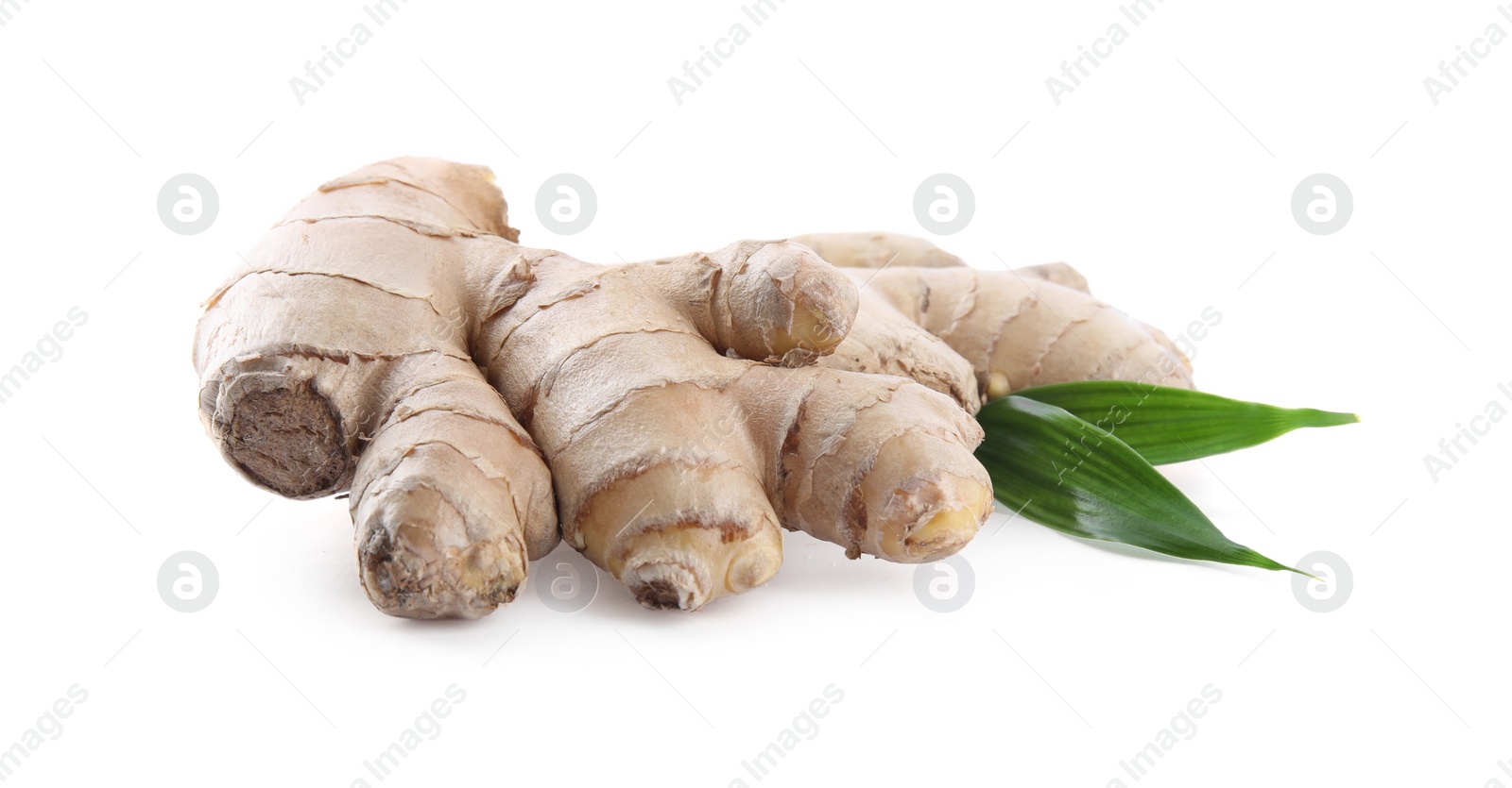 Photo of Whole fresh ginger with leaves isolated on white background