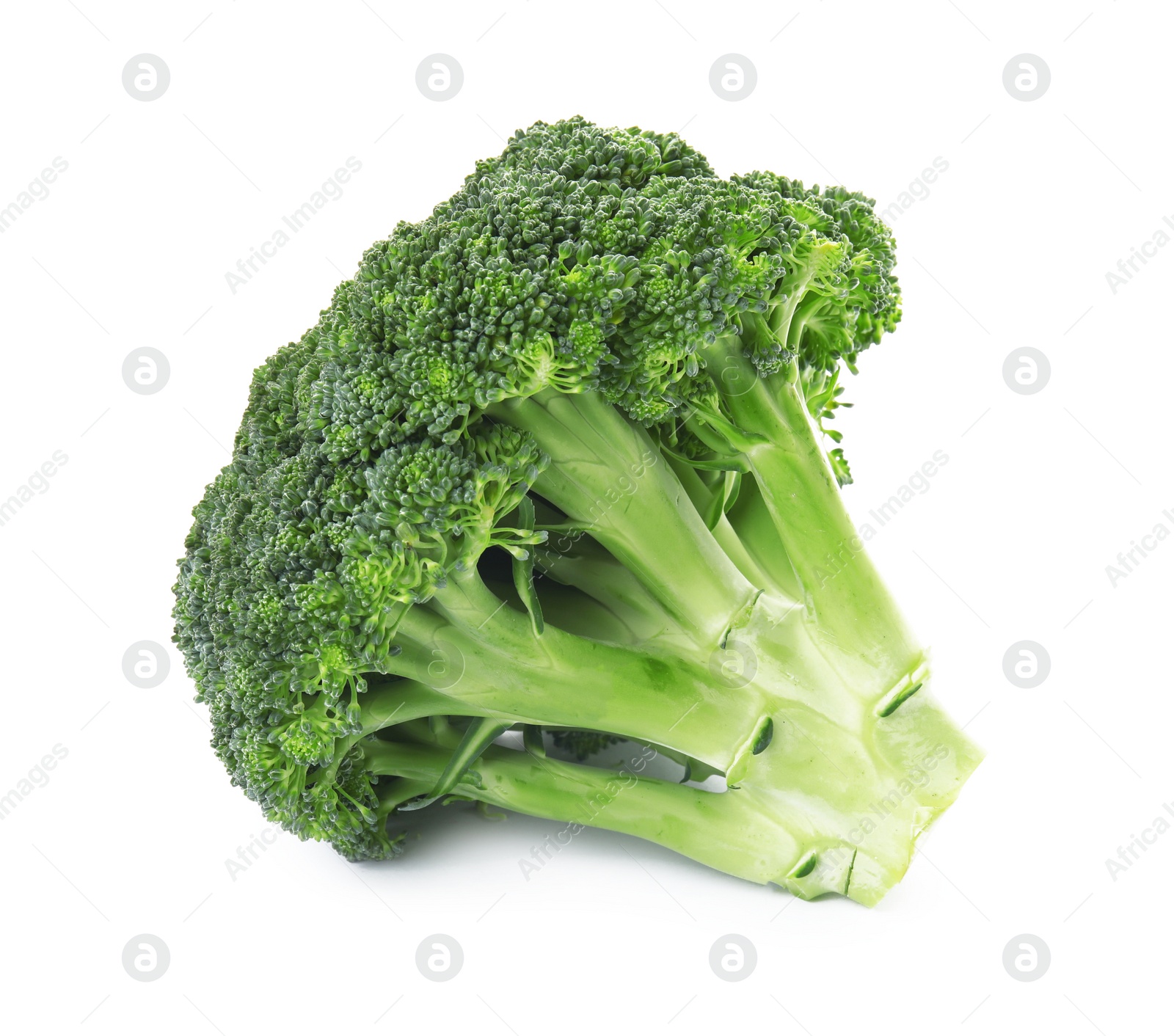 Photo of Fresh broccoli isolated on white. Edible green plant