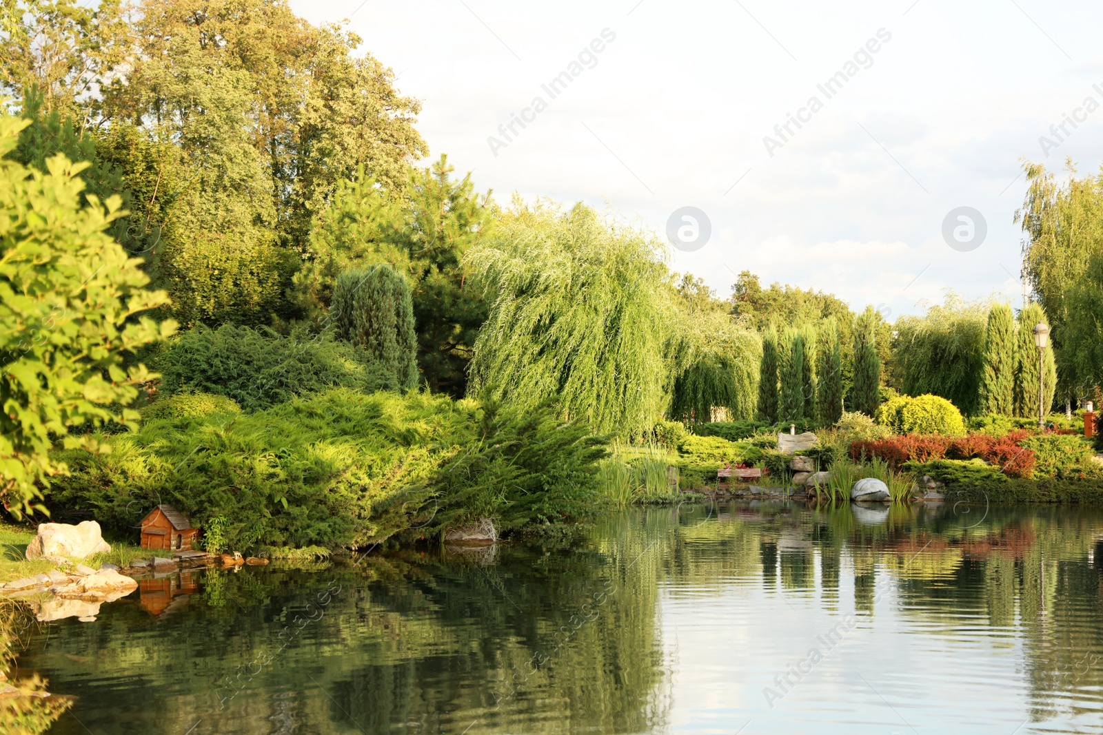 Photo of Picturesque landscape with beautiful lake on sunny day. Gardening idea