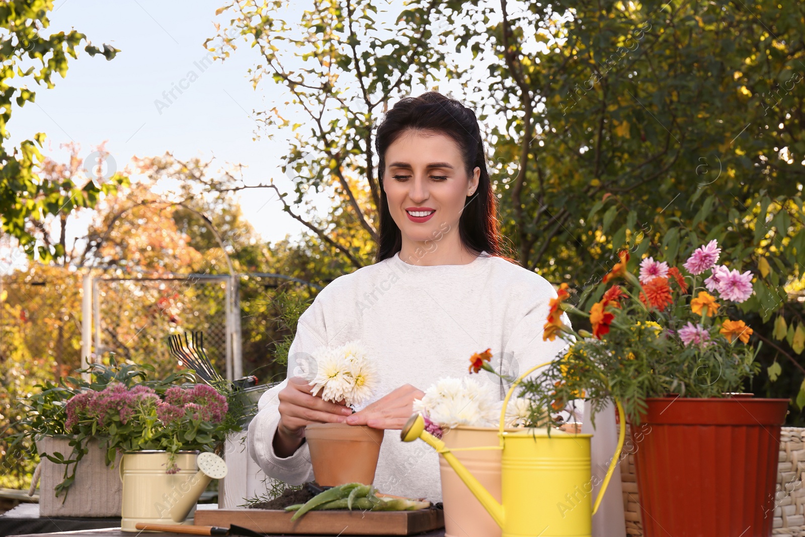 Photo of Woman transplanting flower into pot in garden