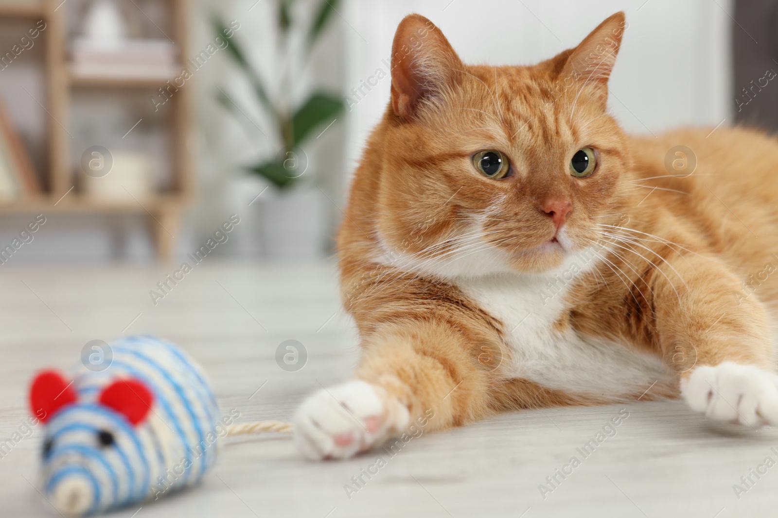 Photo of Cute ginger cat playing with sisal toy mouse at home