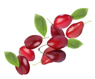 Many fresh dogwood berries and leaves falling on white background