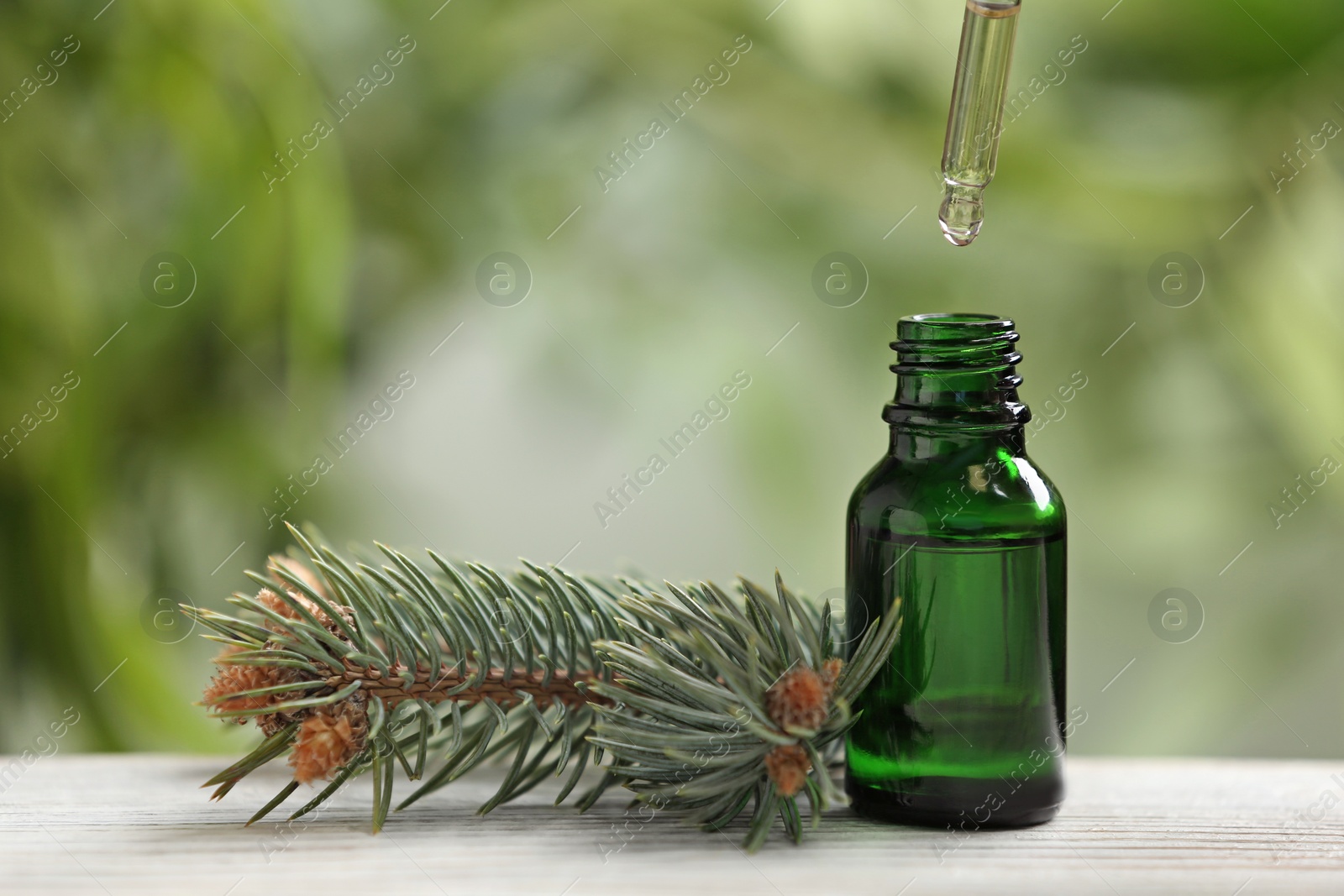 Photo of Bottle and pipette with conifer essential oil on table against blurred background. Space for text