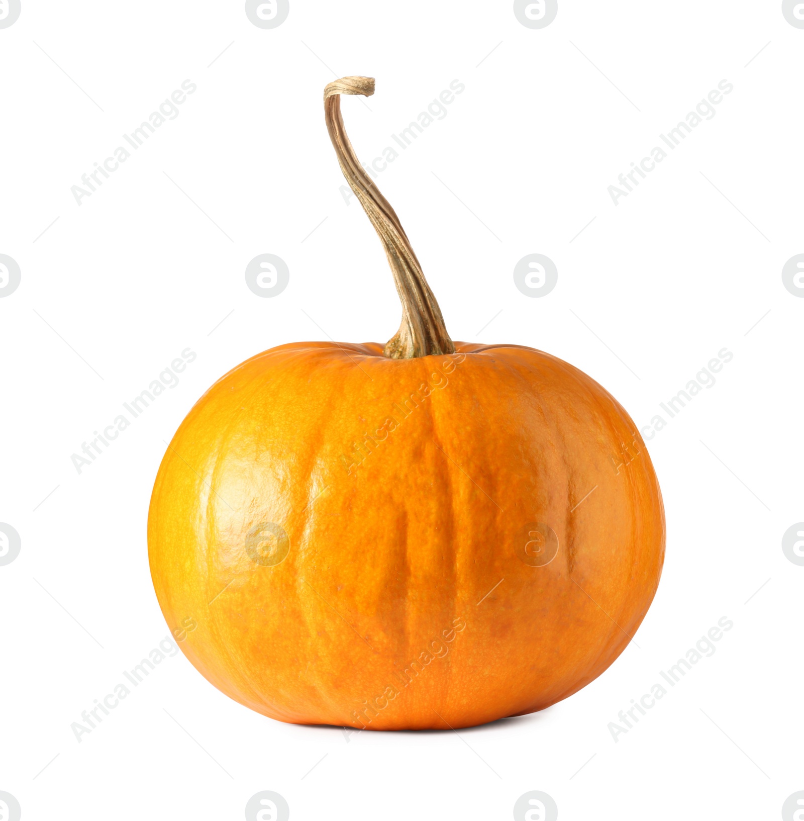 Photo of One fresh orange pumpkin isolated on white