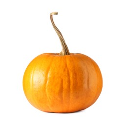 One fresh orange pumpkin isolated on white