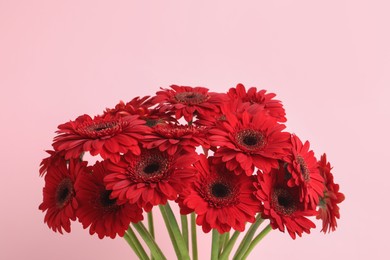 Photo of Bouquet of beautiful red gerbera flowers on pink background