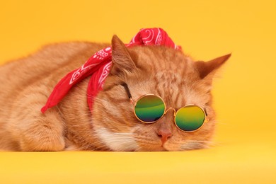 Photo of Cute ginger cat in stylish sunglasses and bandana on yellow background