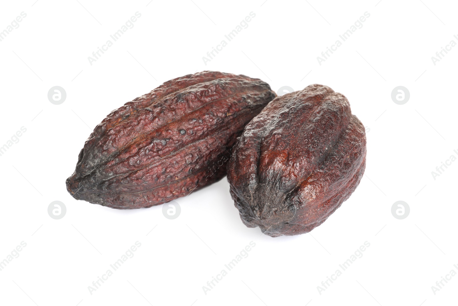 Photo of Whole tropical cocoa pods isolated on white