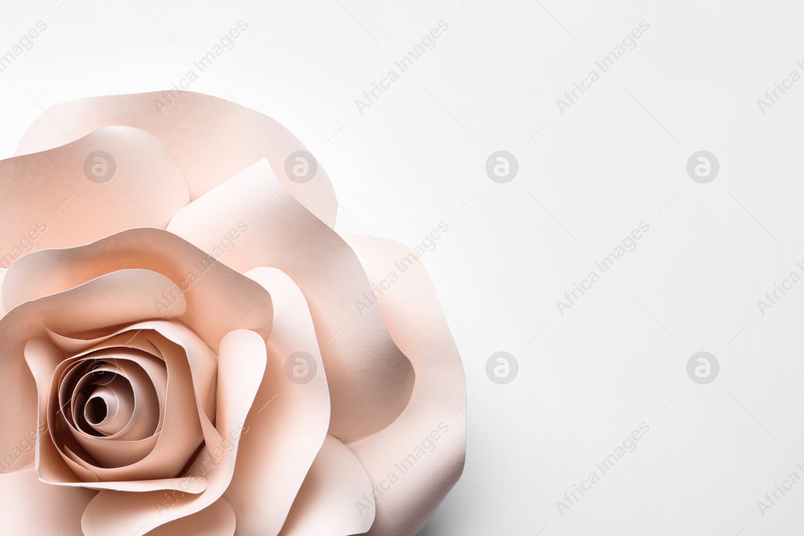 Photo of Beautiful beige flower made of paper on white background, top view