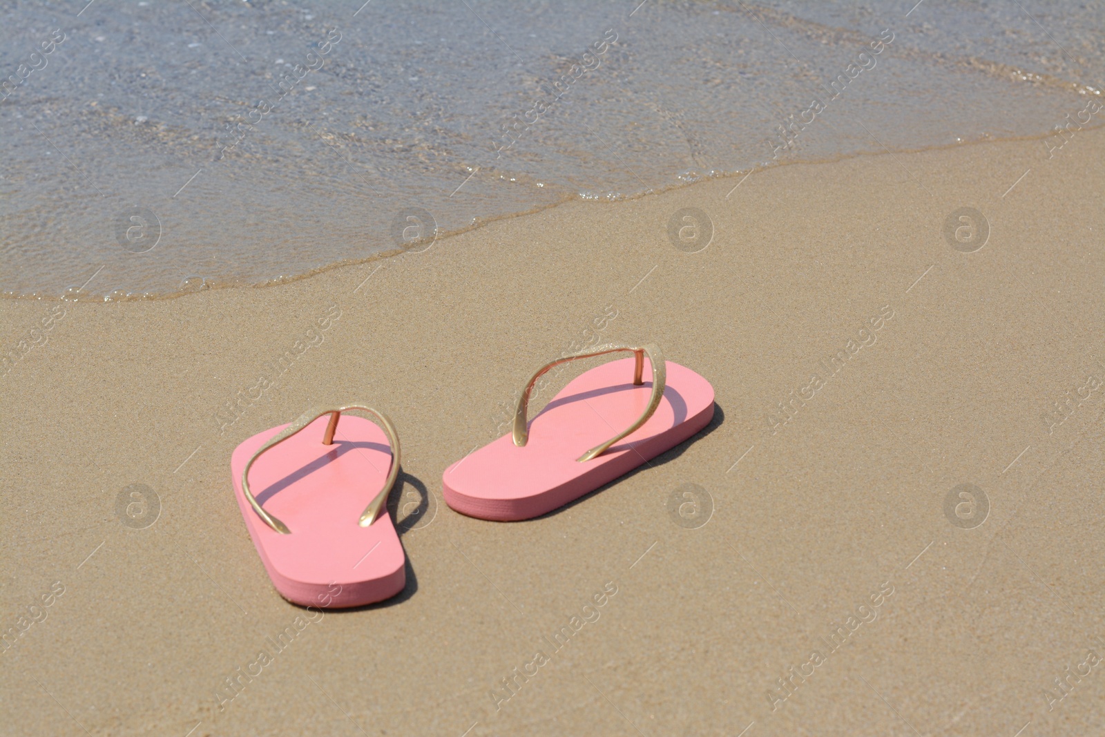 Photo of Stylish pink flip flops on wet sand near sea, space for text