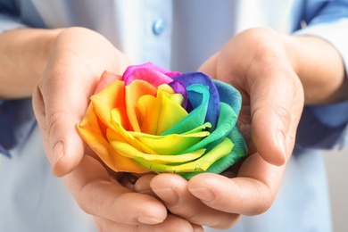 Photo of Woman holding rainbow rose flower, closeup