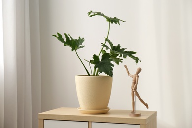 Tropical plant with green leaves and wooden human figure on cabinet indoors