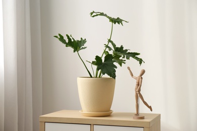 Photo of Tropical plant with green leaves and wooden human figure on cabinet indoors