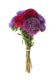 Bouquet of beautiful asters isolated on white.  Autumn flowers