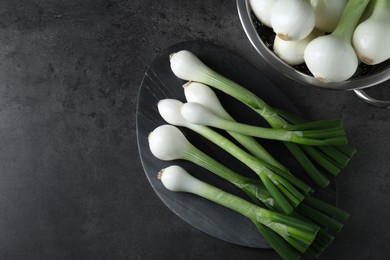 Photo of Whole green spring onions on black table, flat lay. Space for text