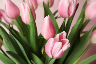Photo of Bouquet of beautiful spring tulips on light pink background, closeup