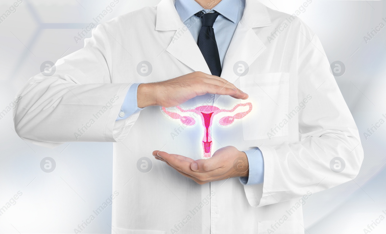 Image of Doctor demonstrating virtual icon with illustration of female reproductive system on light background, closeup. Gynecological care 