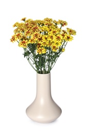 Photo of Beige vase with beautiful chrysanthemum flowers isolated on white
