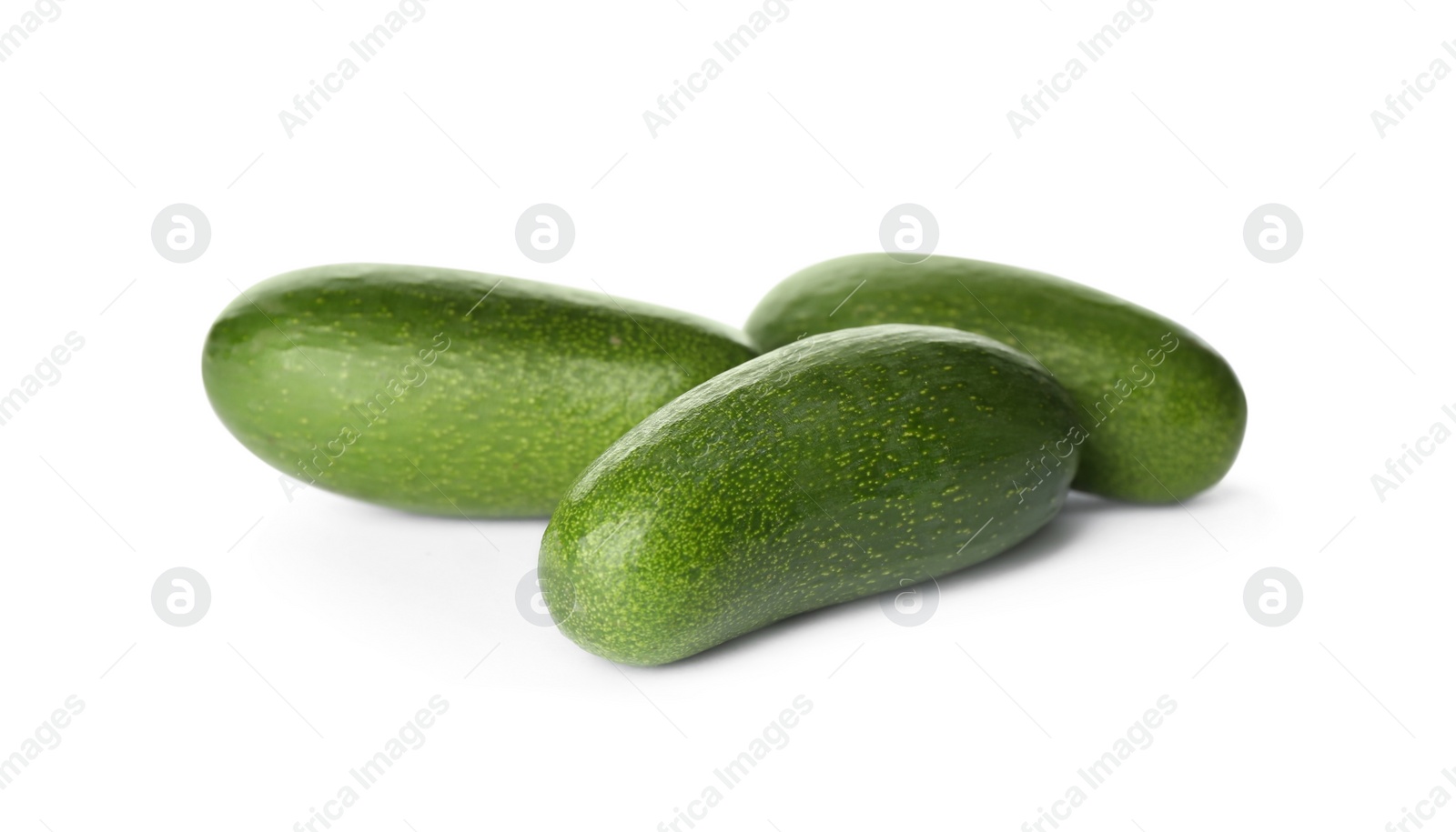 Photo of Fresh whole seedless avocados isolated on white