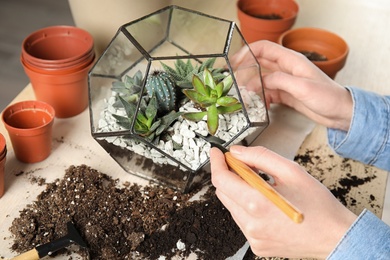 Woman transplanting home plants into florarium at table, closeup