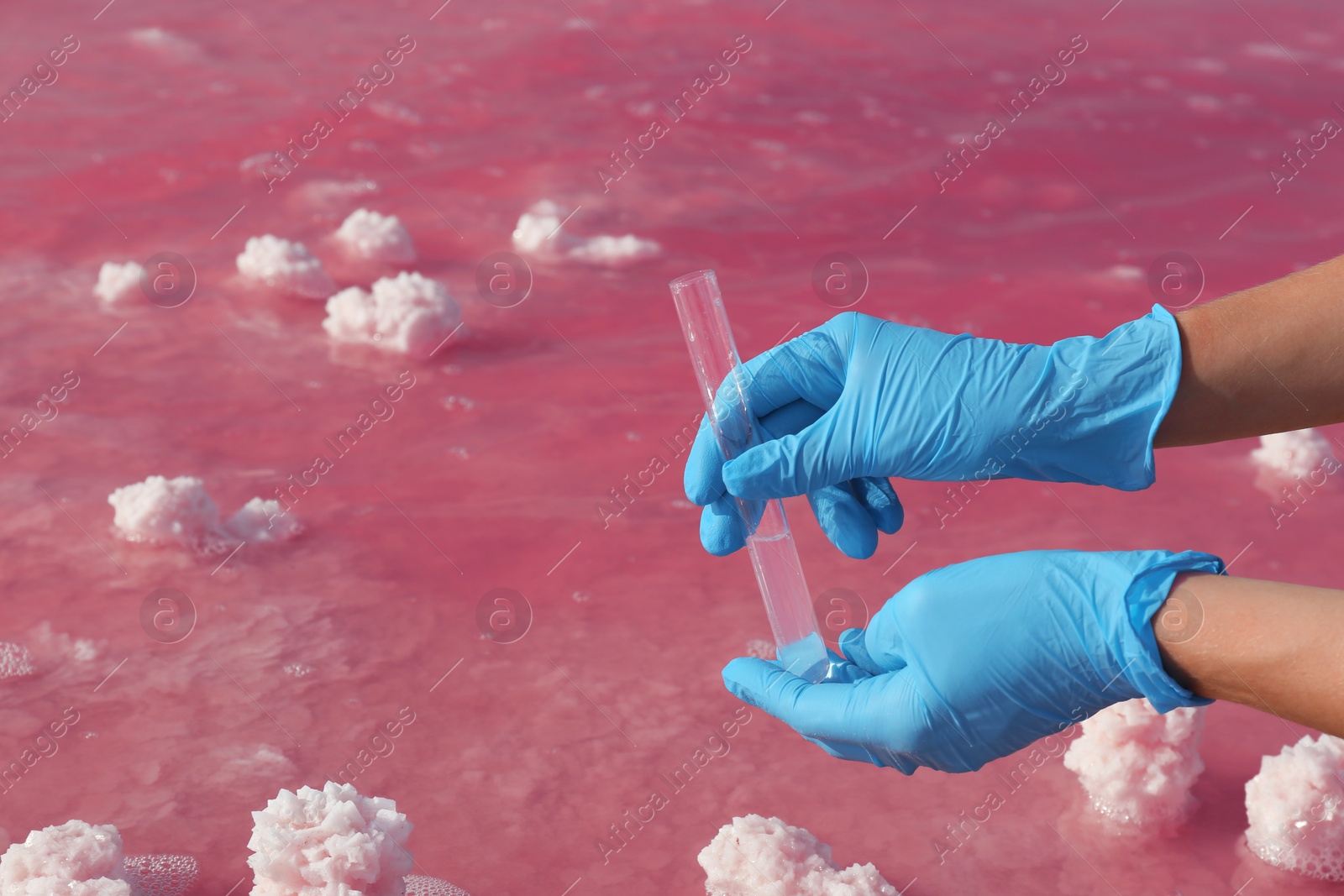 Photo of Laboratory worker with test tube taking sample from pink lake for analysis, closeup