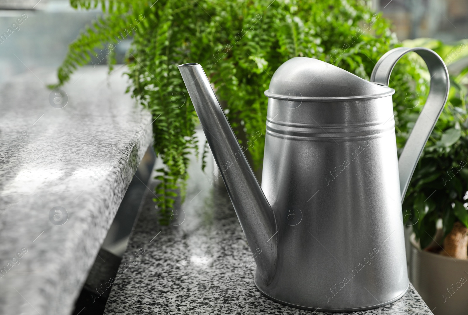 Photo of Watering can and home plants on stairs indoors