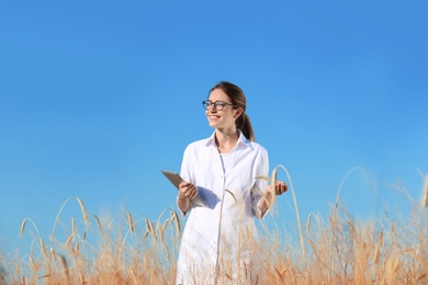 Photo of Agronomist with tablet in wheat field. Cereal grain crop